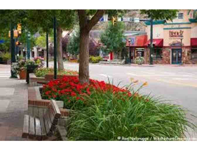 'Bramlet's Backwoods Cabin' in January - April! Beautiful Estes Park, Colorado!