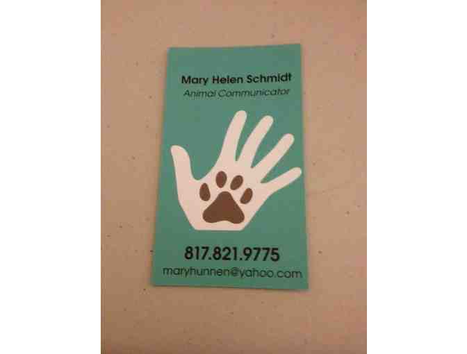 Mary Helen Schmidt Helps You Understand Your Pet's Behavior!