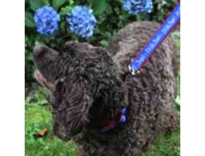 5 Foot Dog Leash: 'We the People'! Made in America!