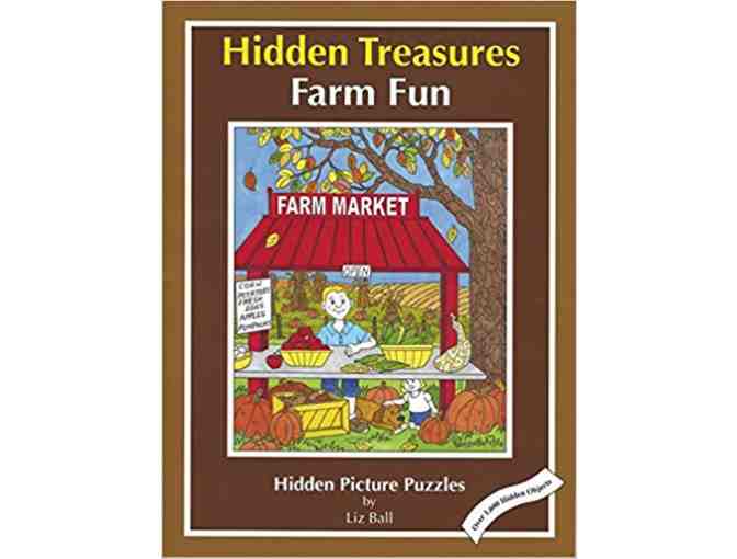 'Summer Fun  Hidden Treasures' by Liz Ball, Author and Illustrator!  Autographed!
