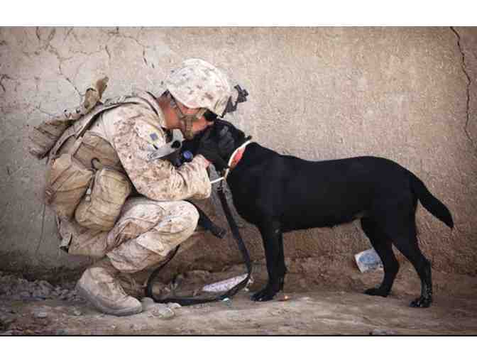 'Dogs Leave Pawprints in Your Heart' Collectible Box & It is Filled with Treasures!