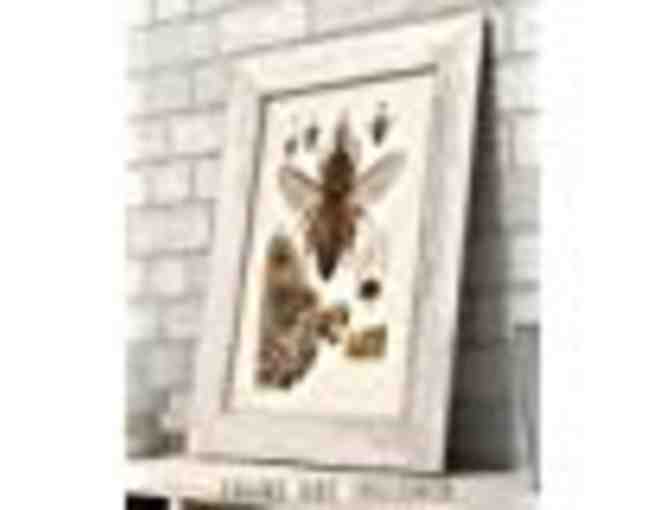 Beautiful Bee Diagram - 11x14 Unframed Art Print - Great Gift for Beekeepers