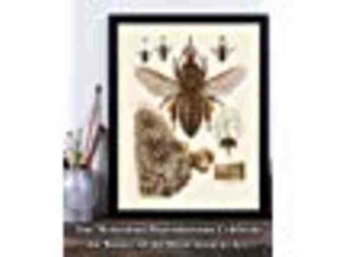 Beautiful Bee Diagram - 11x14 Unframed Art Print - Great Gift for Beekeepers