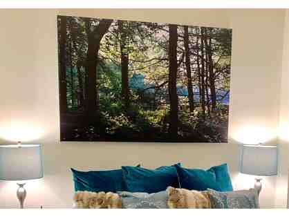 "God in the Woods" An Original Janine Turner Photo from Mockingbird Hill Ranch!