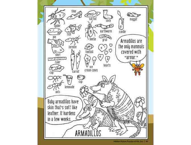 'Hidden Picture Puzzles at the Zoo' by the Very Talented Liz Ball! Newest Book!