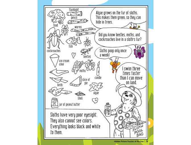 'Hidden Picture Puzzles at the Zoo' by the Very Talented Liz Ball! Newest Book!