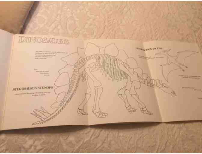 'Coloring the Smithsonian' 1974 Collectible! Illustrated by Margaret Brown!