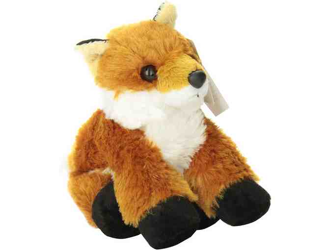 Four Adorable Forest Animals: Rocky Raccoon, Foxxie Fox, Milo Moose, & Baby Fawn!