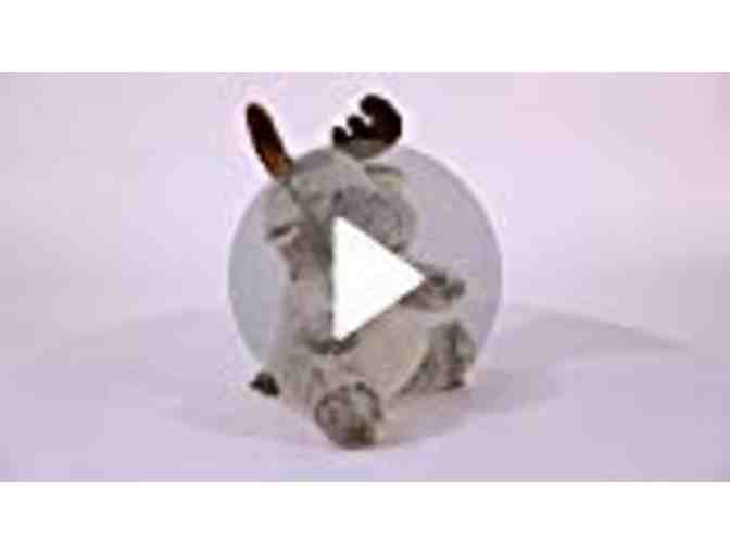 Four Adorable Forest Animals: Rocky Raccoon, Foxxie Fox, Milo Moose, & Baby Fawn!