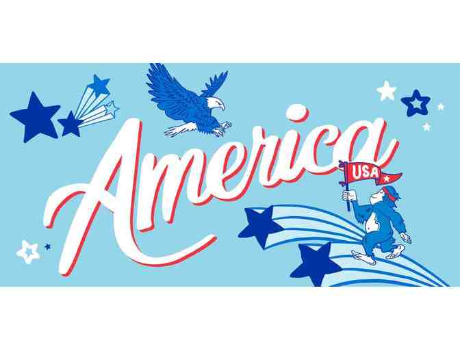 Brooks's Patriotic Womens Shoe! Size 8, Original Box! Free shipping!