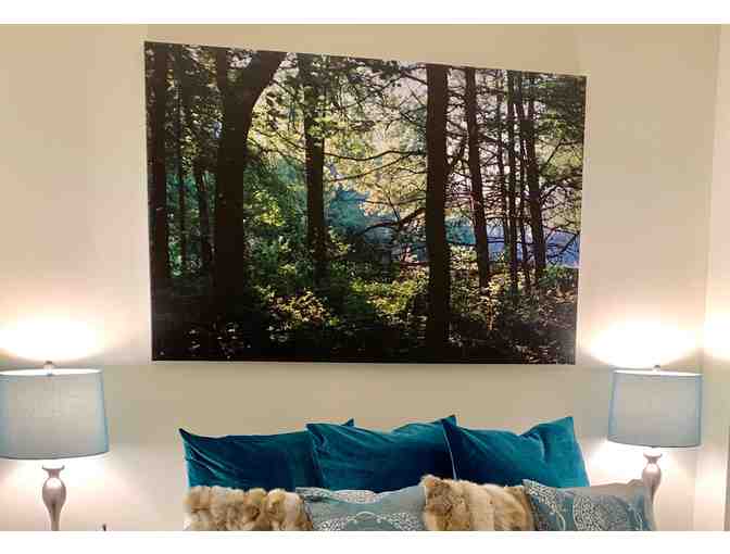 An Original Janine Turner Photo, Mockingbird Hill Ranch: 'God in the Woods'