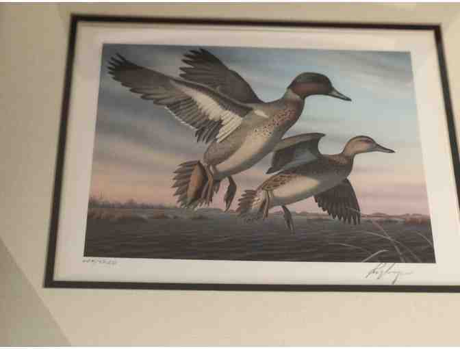 Artist Signed Limited Print and Framed Original Waterfowl Stamp