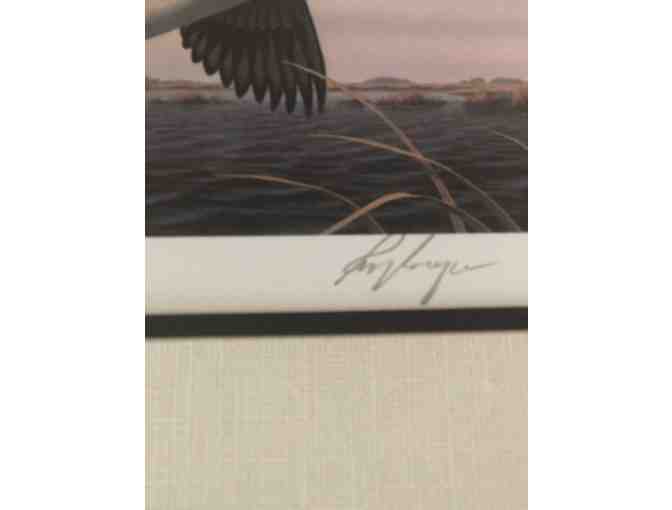 Artist Signed Limited Print and Framed Original Waterfowl Stamp