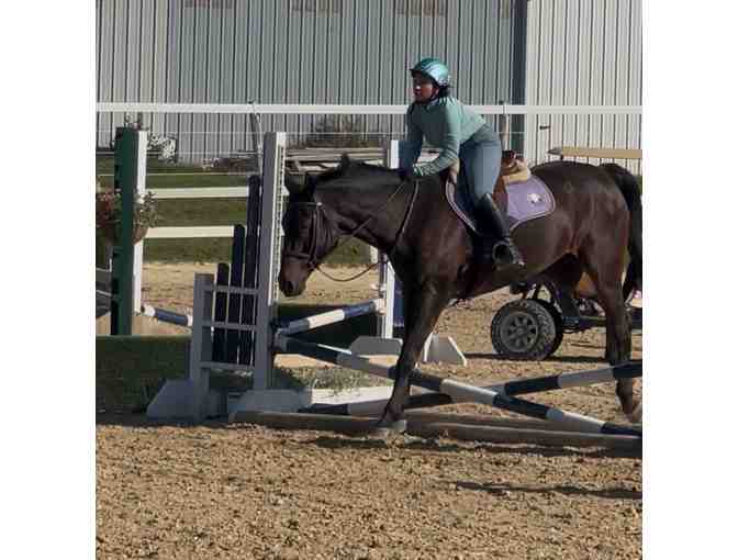 Sponsor Our Best Middle School STEM Winner's Scholarship and Mentor Trip [From IL]