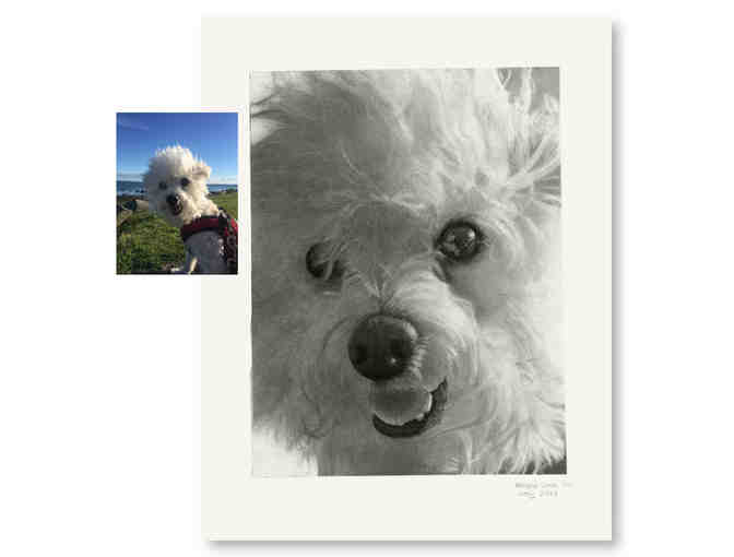 CUSTOM PET PORTRAIT IN CHARCOAL