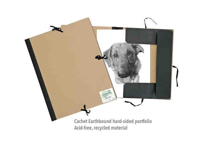 CUSTOM PET PORTRAIT IN CHARCOAL