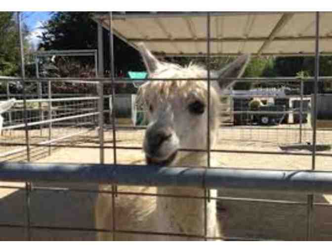 UNDERWOOD FAMILY FARMS - SEASON PASS FOR 5