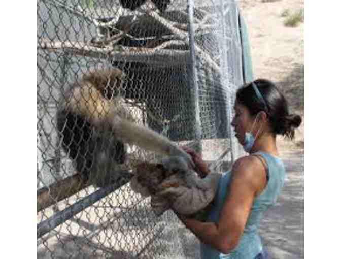 GIBBON CONSERVATION CENTER - WEEKEND ENTRANCE FOR TWO (2)