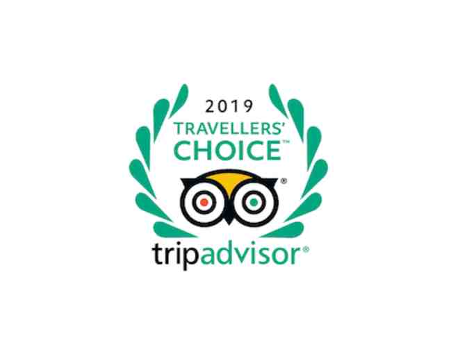 EAT, PRAY, LOVE - AN ITALIAN CULINARY IMMERSION VACATION IN TUSCANY for ONE (1)