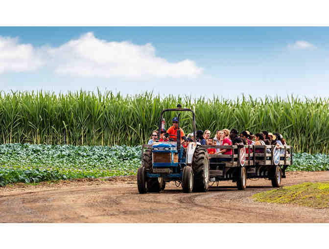 TANAKA FARMS - SEASONAL FARM TOUR FOR 4