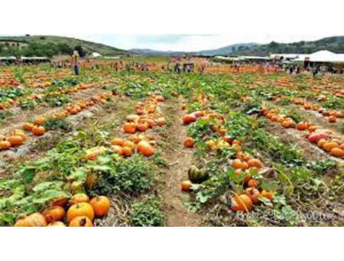 TANAKA FARMS - SEASONAL FARM TOUR FOR 4