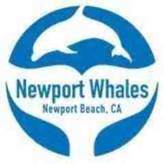 Newport Landing Whale Watching