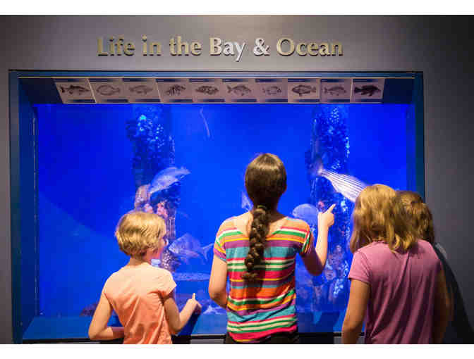 Audubon Family Membership