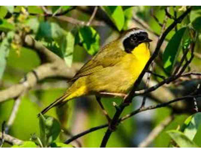 Audubon Family Membership