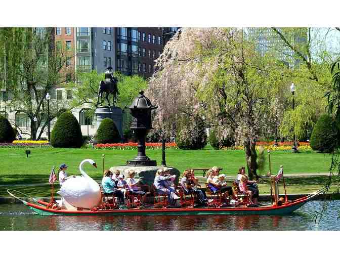 Ten Boston Swan Boat Rides