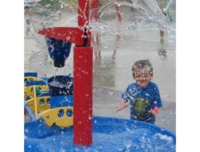 Davis Farmland & Mega Maze - Two Day Passes