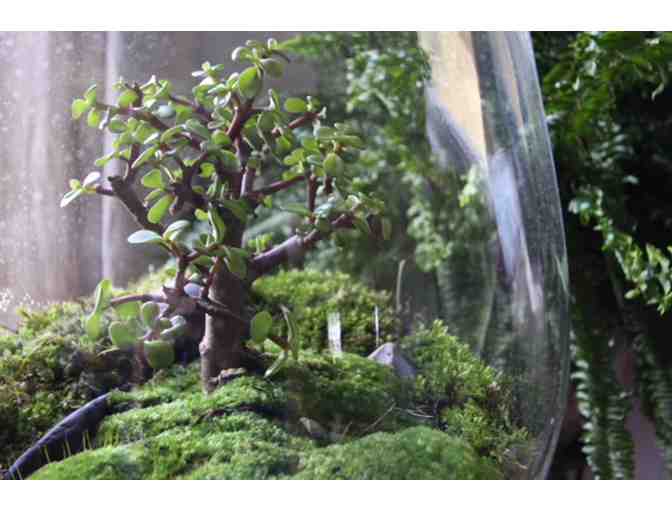 Handcrafted Terrarium from Rock Farm Gardens