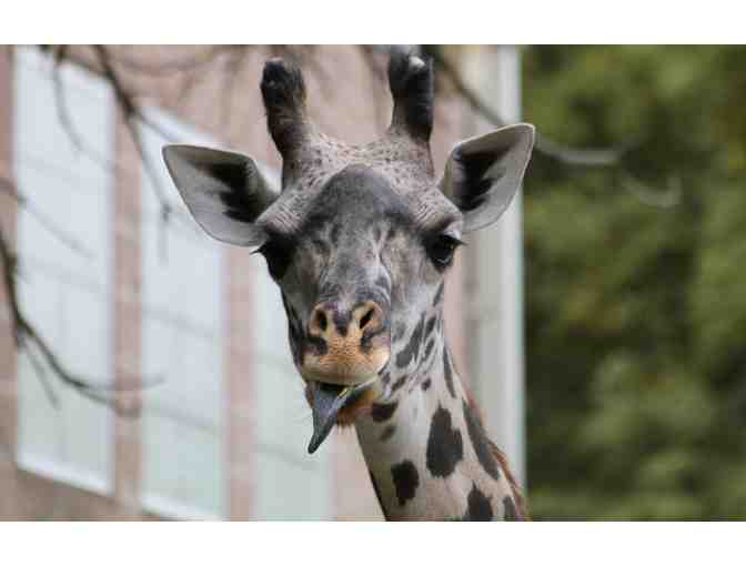 Roger Williams Park Zoo Four Admission Passes