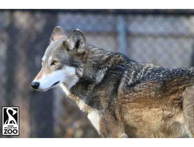 Roger Williams Park Zoo Four Admission Passes