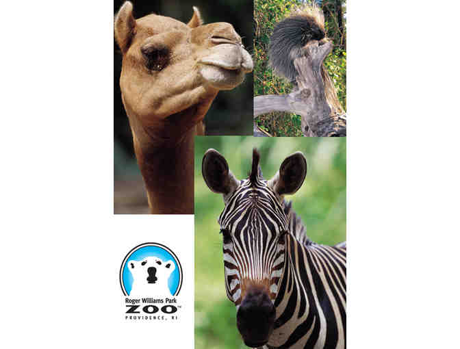 Roger Williams Park Zoo - Two Admission Passes