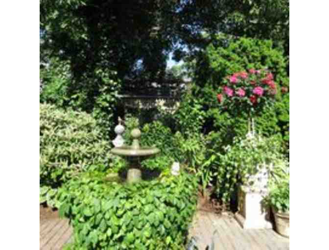 Newport Secret Garden Tours 4 Tickets