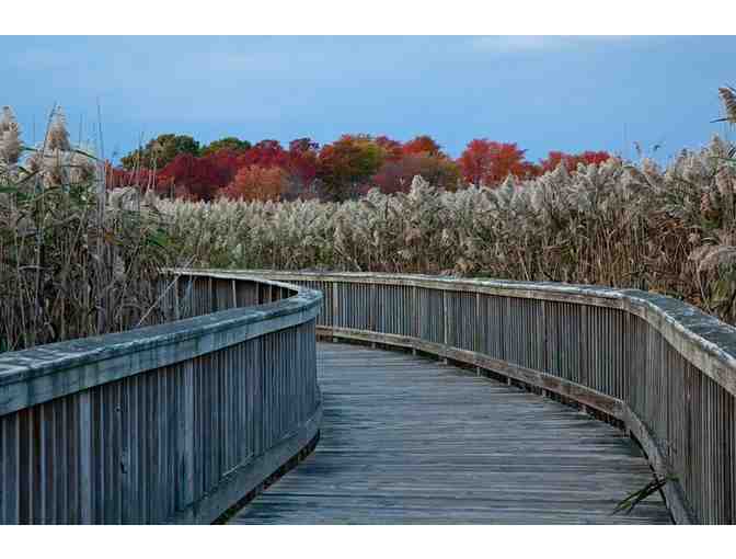 Audubon Society of Rhode Island One-Year Membership