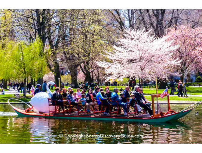 Swan Boats of Boston 4 Boat Ride Passes & Chipotle 2 Entrees and 1 Chips and Queso