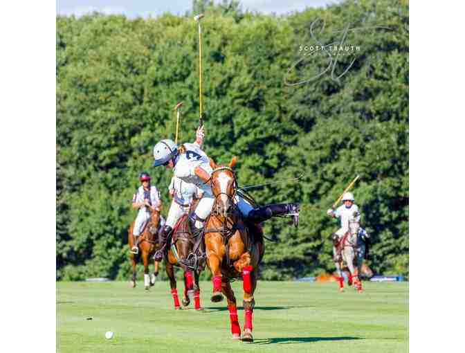 Newport Polo 10 Lawn Tickets