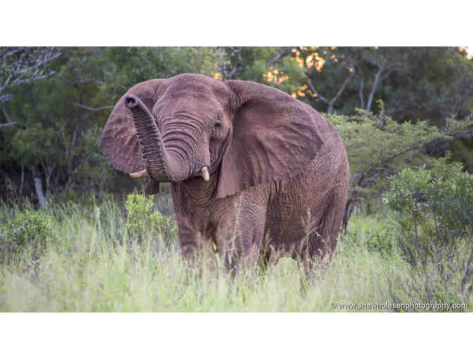 African Safari for Two