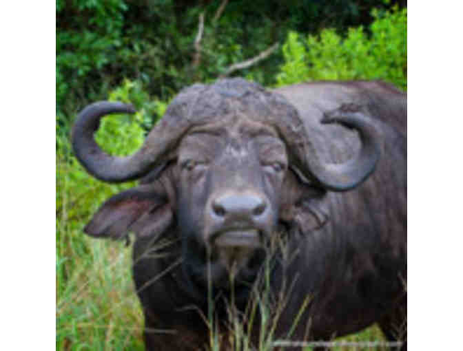 African Safari for Two