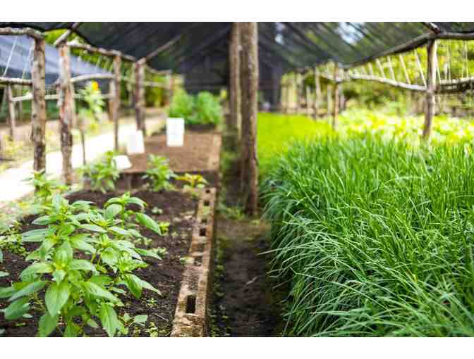 Five Night All-Inclusive Stay in Belize