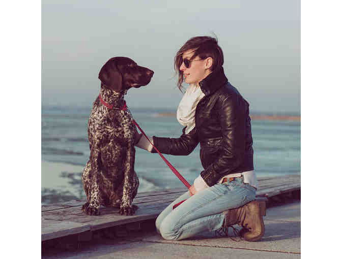 Understanding Canine Anxiety OR....