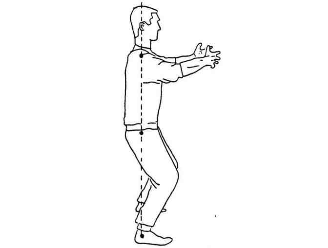 Tai Chi for Health