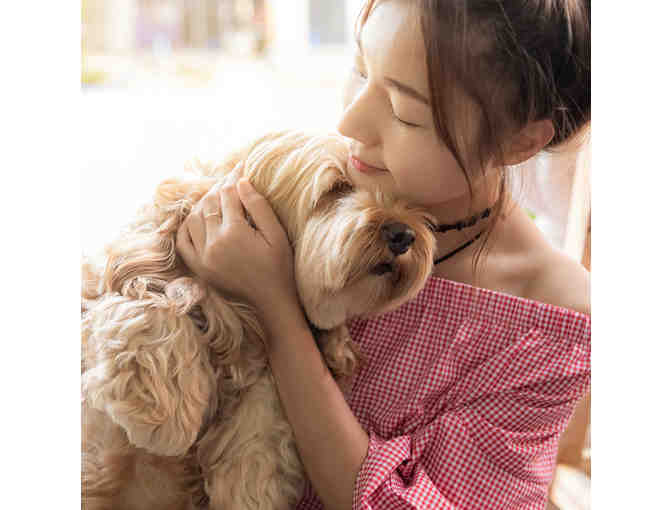 Understanding Canine Anxiety OR....