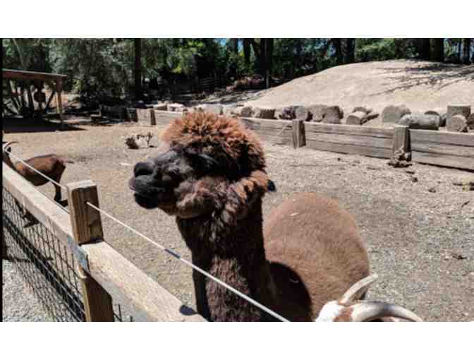 Four (4) Tickets to Steam Trains at Sonoma Train Town