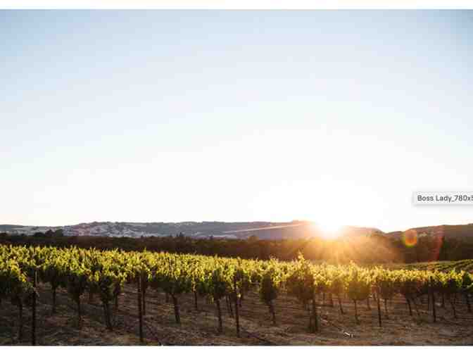 Gundlach Bundschu Winery Tasting for Six