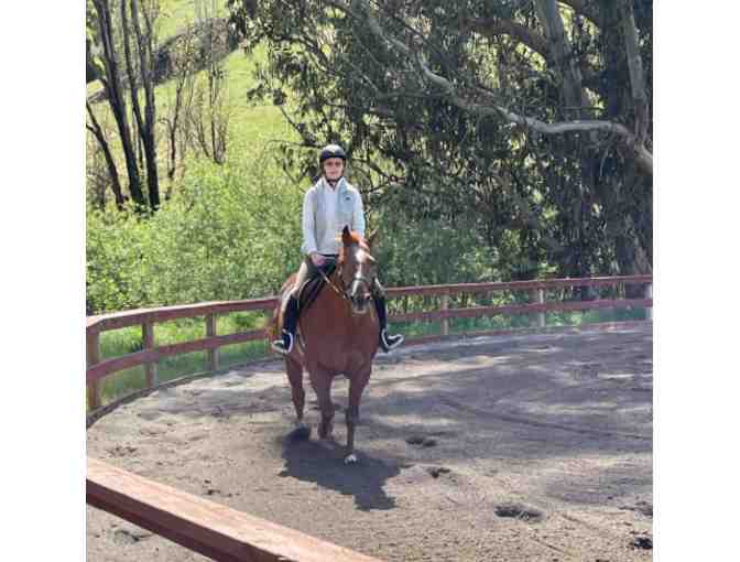Introductory Lessons at Marshall Hall Riding Academy in Marin