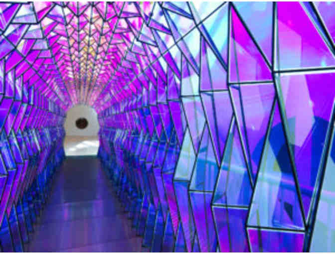 San Francisco Museum of Modern Art Passes for Two