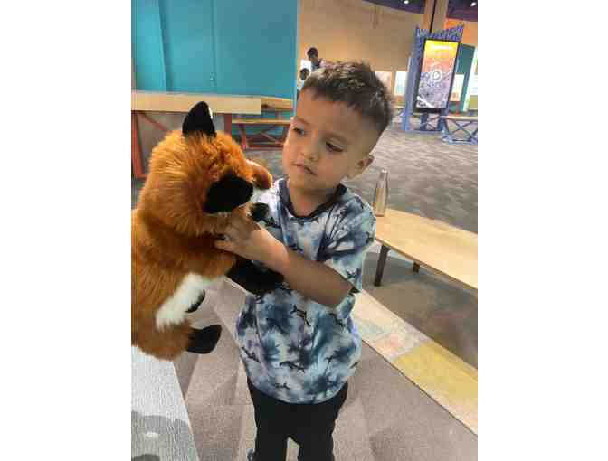 Four Tickets to The Tech Interactive