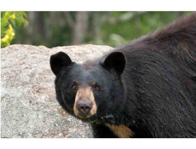 Oakland Zoo Family Day Pass